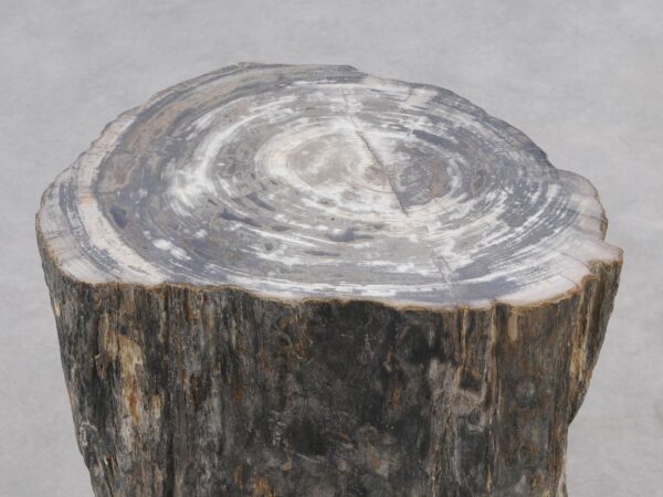 Side table petrified wood 51026