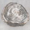 Side table petrified wood 51026