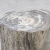 Side table petrified wood 51026