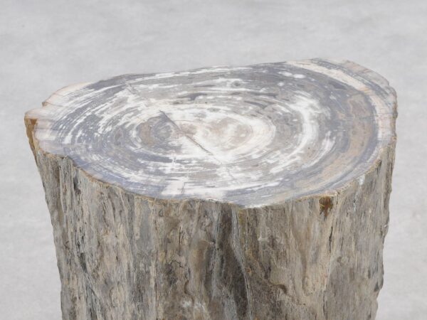 Side table petrified wood 51026