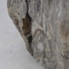 Side table petrified wood 51026