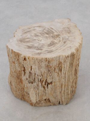 Side table petrified wood 51027