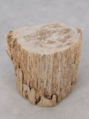 Side table petrified wood 51028