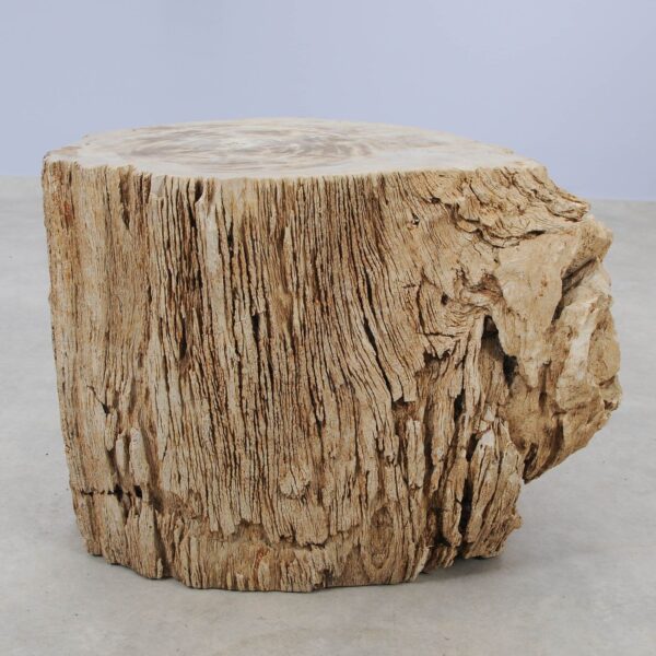 Side table petrified wood 51028