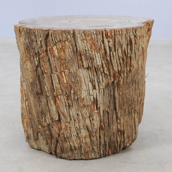 Side table petrified wood 51029