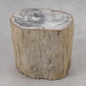 Side table petrified wood 51030