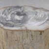 Side table petrified wood 51030