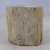 Side table petrified wood 51030