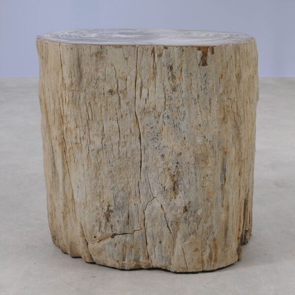 Side table petrified wood 51030