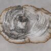 Side table petrified wood 51030