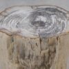 Side table petrified wood 51030