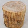 Side table petrified wood 51031