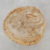 Side table petrified wood 51031