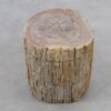 Side table petrified wood 51032
