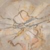 Side table petrified wood 51032