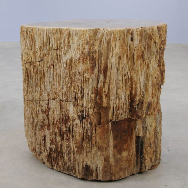 Side table petrified wood 51032