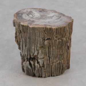 Side table petrified wood 51033