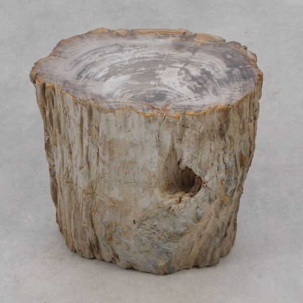 Side table petrified wood 51033