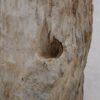 Side table petrified wood 51033