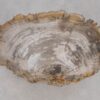 Side table petrified wood 51033