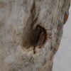 Side table petrified wood 51033