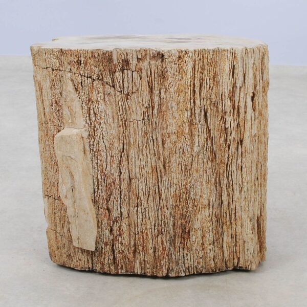 Side table petrified wood 51034