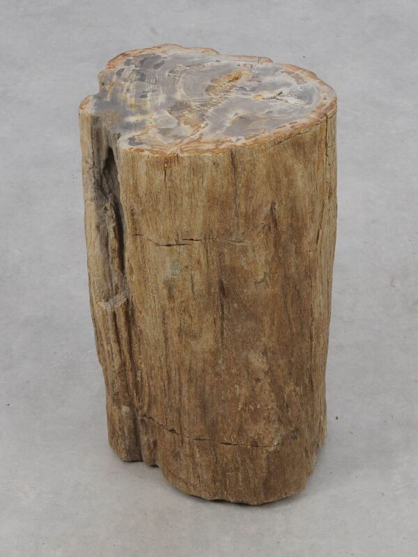 Side table petrified wood 51035