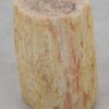 Side table petrified wood 51036