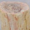 Side table petrified wood 51036