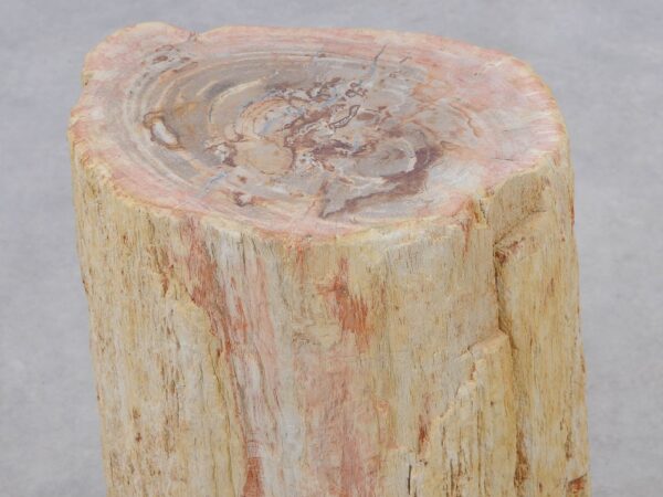 Side table petrified wood 51036
