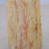 Side table petrified wood 51036