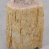 Side table petrified wood 51036