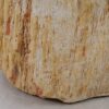 Side table petrified wood 51036