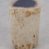 Side table petrified wood 51037