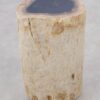 Side table petrified wood 51037