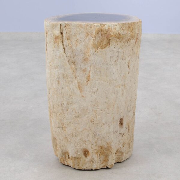 Side table petrified wood 51037