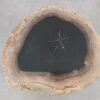 Side table petrified wood 51037