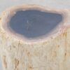 Side table petrified wood 51037