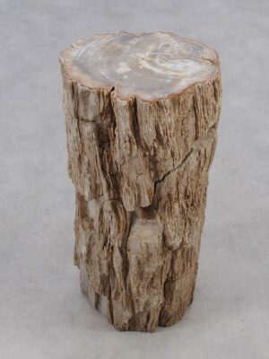 Side table petrified wood 51038