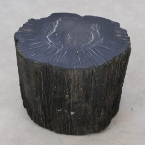 Side table petrified wood 51039