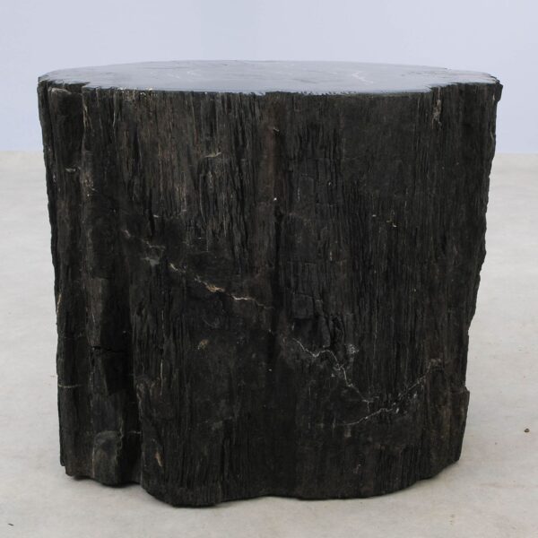 Side table petrified wood 51039