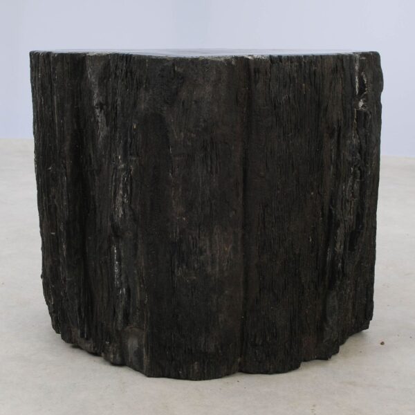 Side table petrified wood 51040