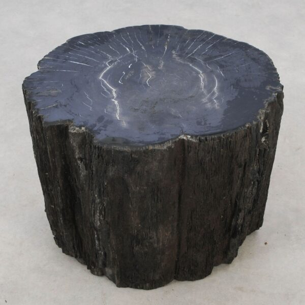 Side table petrified wood 51040