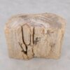 Side table petrified wood 51041