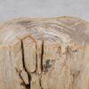 Side table petrified wood 51041