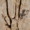 Side table petrified wood 51041
