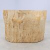 Side table petrified wood 51041