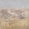 Side table petrified wood 51041