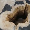 Side table petrified wood 51042