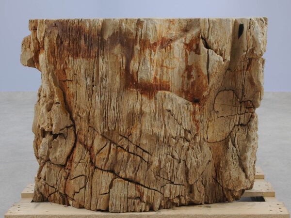 Side table petrified wood 51042